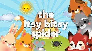 Tot Tails Itsy Bitsy Incy Wincy Spider Nursery Rhyme and Kids Song