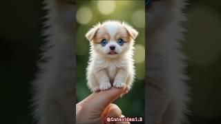 all animal are eye of blue sky #cute #ytshorts #shorts #trending #shorts #funny #cat #goat #tiger