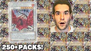 Opening Yugioh Packs For BLACK ROSE DRAGON! #sponsored