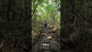 #hiking #mountain #100대명산 #한라산등반