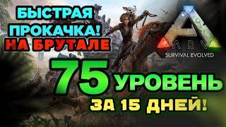 ЛУЧШАЯ ПРОКАЧКА ОПЫТА НА БРУТАЛЕ В ИГРЕ ARK SURVIVAL EVOLVED MOBILE 2024! |ark mobile, Арк мобайл