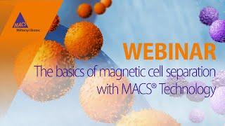 The basics of magnetic cell separation with MACS Technology [WEBINAR]