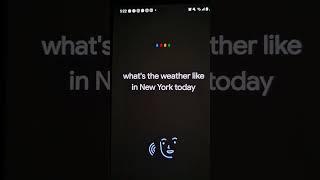 Snow storm ️ hitting NYC in June? @Google is broken! #nyc #snow #shorts