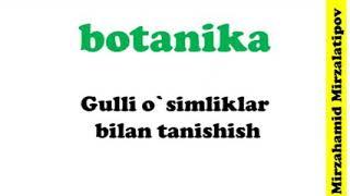 Gulli oʻsimliklar bilan tanishish (botanika)