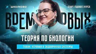 Ткани, нервная и эндокринная системы: теория для ОГЭ по биологии 2025