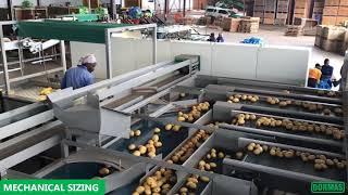 Dormas | Potato Handling Equipment - Easy Greens.