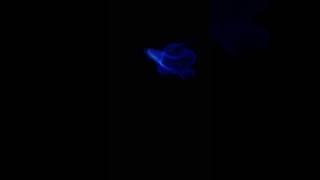 WATER SUDDENLY TURNS INTO FLAMES [WATCH TILL THE END]