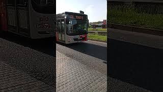 Man LIONS CITY LINKA 220