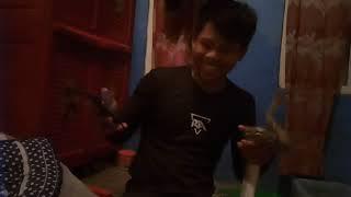 Cek kelamin ular no sensor..!! #reptiles #dunisatwa