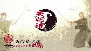 Tenshin-Ryu Hyoho. Vol.1, Vol.2, Vol.3. by R. Ide & M. Kuwami