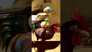Cowboy Chick Rides a Rooster Like a Boss| Boss Choza #cuteanimal #chickens #roster