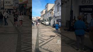 Protect this guy at all costs  #busking #busker #portugal #travel #travelvlog #traveling