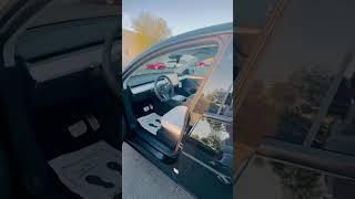 Tesla Model y performance 2023 #Tesla performance #selfdrivecars #black and White Interior