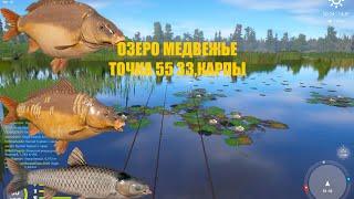 Русская Рыбалка 4 озеро  Медвежье, Карп на большие бойлы (Russian Fishing 4)