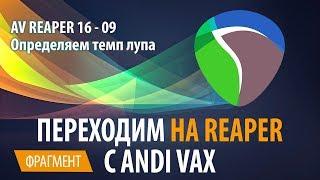 AV REAPER 16 - 09 Определяем темп лупа