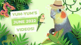 YumYum’s June Videos