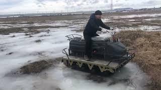 КАК ПОКАЖЕТ СЕБЯ МАЛАМУТ НА ЛЬДУ