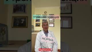 Утренняя эрекция 