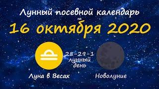 [16 октября 2020] Лунный посевной календарь огородника-садовода | Флористикс Инфо