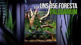 UNS 35E Foresta Paludarium Setup - Build a Paludarium From Start to Finish