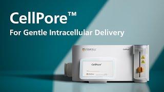 CellPore™: For Gentle Intracellular Delivery