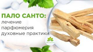 Эфирное масло ПАЛО САНТО. Для терапии, парфюмерии, духовных практик