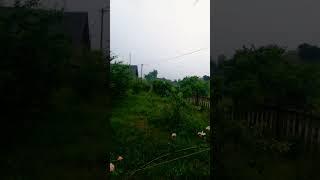 ТРОПИЧЕСКИЕ ЛИВНИ в Беларуси