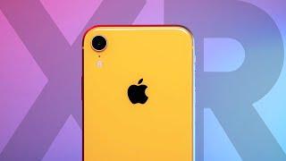 iPhone XR в 2020 и сравнение с OnePlus 7t Pro и Google Pixel 4