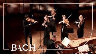 Bach - Orchestral Suite no. 3 in D major BWV 1068 - Mortensen | Netherlands Bach Society