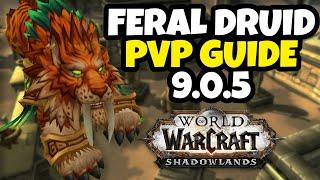 9.0.5 Feral Druid Shadowlands PvP Guide | Talents, Legendaries, Covenants and more!