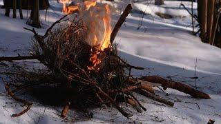 Bushcraft / outdoor / winter Лес /Пикник / костер (2022 / February /Belarus)