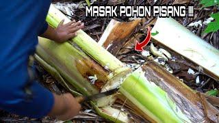 The way I make delicious dishes from banana trees