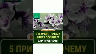 Islam media portal - 5 Причины , Почему Аллах Посылает Вам Проблемы?!