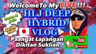 Live ang HLJ Deep Hybrid Vlog! Happy 3King's Paangatan Laoagan Dikitan Suklian 1-2-25