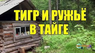 АТАКА ТИГРА | ОХОТНИК | ЖИЗНЬ В ТАЙГЕ