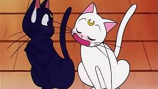 Luna scratches Artemis