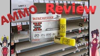 Pandemic Ammo Review (Winchester 20 Gauge #3 Buckshot)