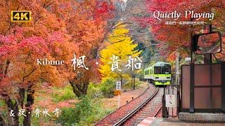 CC English subtitles）No.1 Kyoto Autumn Leaves Spots! Eizan Railway Maple Tunnel,