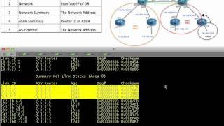 OSPF LSA Types for IPv4