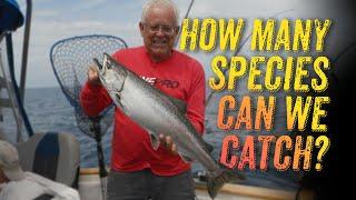 Summer Great Lakes Salmon and More! Lake Huron Multi Species Adventure in Oscoda, Michigan