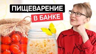 Какие продукты содержат больше ферментов. Как сырая еда помогает пищеварению.