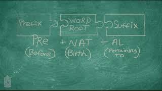 Medical Terminology Intoduction (1)