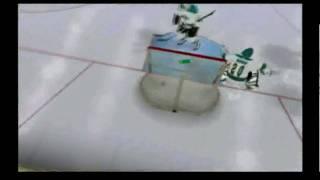 Alexander Frolov goal (NHL 2K10)