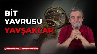 "Bitler" ve "Yavşaklar" | Prof. Dr. Mümtaz’er Türköne