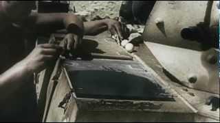 Afrika Korps omelette on a tank