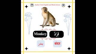 (8)Names of animals/أسماء الحيوانات️ #ArabicEnglishUrduHindiIdioms #shorts #viral #foryou #love