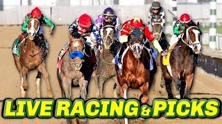 Hawthorne Picks & Live Horse Racing Stream | Racing Dudes LIVE