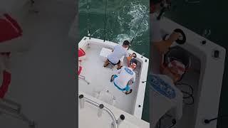 Reel Deal Sportfishing is live!