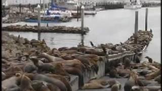 The Marine Mammal Center - We are All Dependent on One Another
