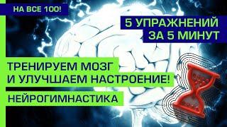 Упражнения для мозга: 5 упражнений за 5 минут! – Нейрогимнастика: зарядка для ума | На все 100!